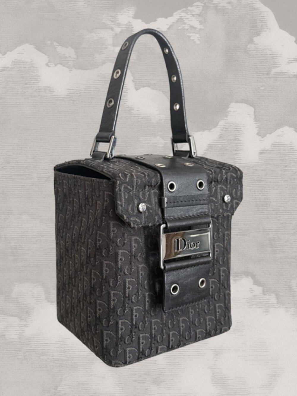 CHRISTIAN DIOR Y2K Galliano diorissimo canvas street chic vanity trotter bag